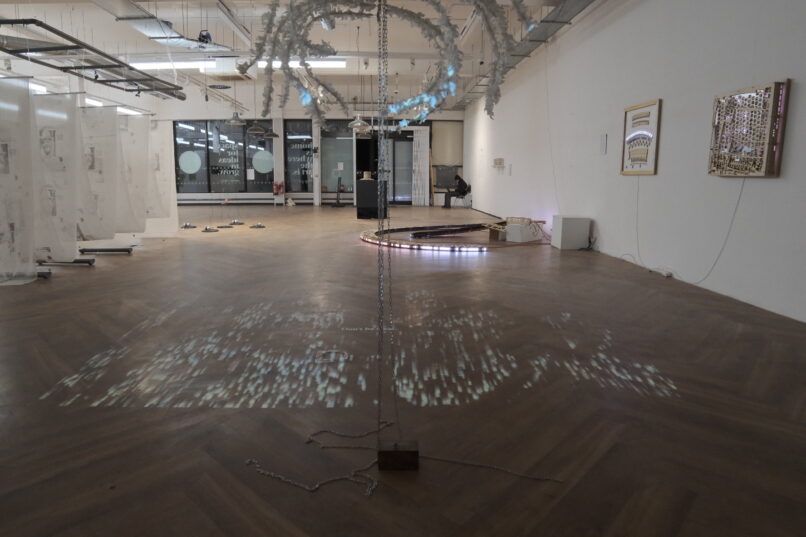 Part of the Dissection exhibition